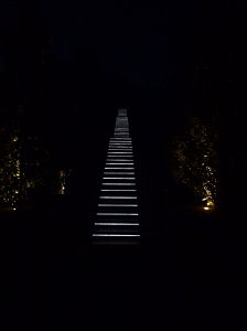 Bl&uuml;tenpracht in der Nordh&auml;user Nacht