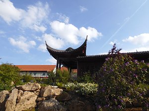 Peter Blei im Garten des ewigen Gl&uuml;cks
