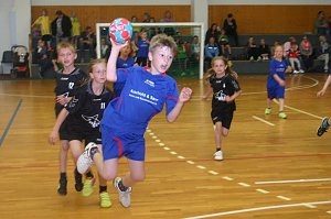 Schulmeisterschaften im Handball