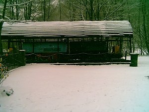 Wandertag im Schnee