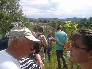 Exkursion in eine Sandgrube