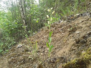 Exkursion in eine Sandgrube