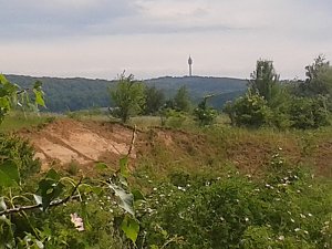 Exkursion in eine Sandgrube