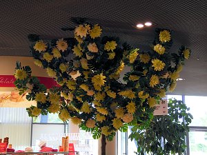 Landesgartenschau in Schmalkalden