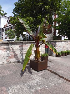 Unterwegs in Schmalkalden