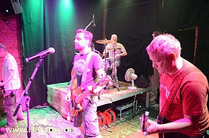 BOXHAMSTERS & DER REST LIVE