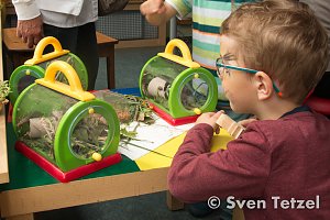 "Kleine Strolche" im Dschungelfieber