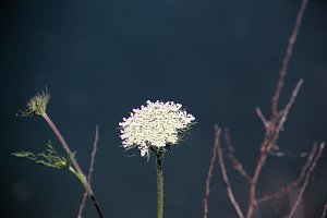 Industrie an den Bielener Kiesgewässern