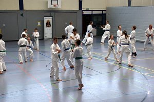 Drei Tage Karate
