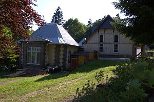 Peter Blei im Städtchen Schierke