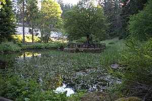 Peter Blei im Städtchen Schierke