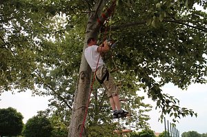 Sommerfest der Nordthüringer Werkstätten in Nordhausen