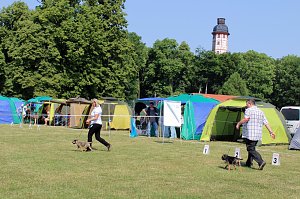 Auf dem Possen bellt es