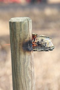 Feuer zwischen Klein- und Gro&szlig;furra