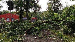 In den Morgenstunden wurde im Landkreis Nordhausen mit den Aufr&auml;umarbeiten begonnen