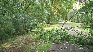 In den Morgenstunden wurde im Landkreis Nordhausen mit den Aufr&auml;umarbeiten begonnen