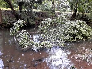 Unwetterschäden in Nordhausen