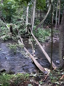 Unwetterschäden in Nordhausen