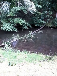 Unwetterschäden in Nordhausen