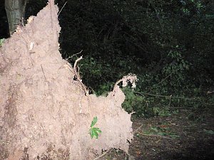Unwetterschäden in Nordhausen