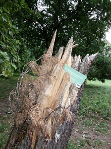 Unwetterschäden in Nordhausen