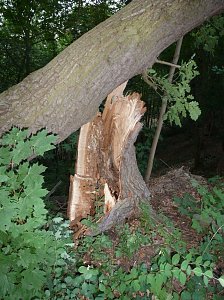 Unwetterschäden in Nordhausen