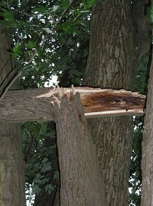 Unwetterschäden in Nordhausen
