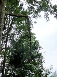 Unwetterschäden in Nordhausen
