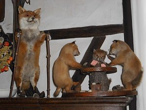 Der Leiter des Ilfelder Museums war auf Bildungsreise quer durch den Harz