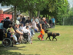 Teamdogs zu Besuch