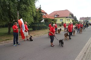 Festumzug in Heringen