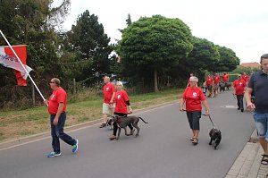 Festumzug in Heringen