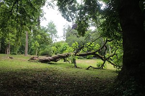 Im Park Hohenrode wurde heute das 10jährige Jubiläum des Fördervereins gefeiert
