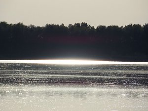 Impressionen am Muldenstausee