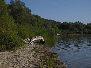 Impressionen am Muldenstausee