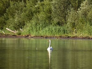 Impressionen am Muldenstausee