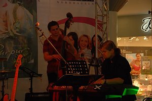 1. Moonlightshopping im Jahr 2009 S&uuml;dharz Galerie Nordhausen.