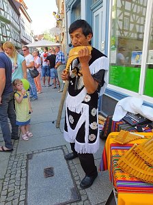 21. Altstadtfest
