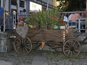 21. Altstadtfest