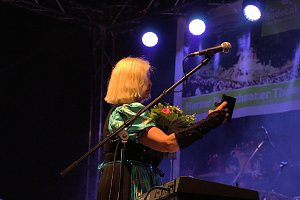 Harzer Sommertage