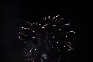 20. EVN-Party - der Abend