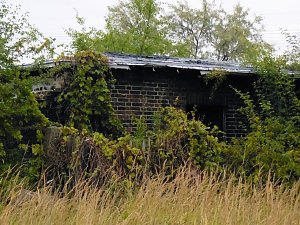 Unwirkliche Orte: Lokschuppen bei Bitterfeld