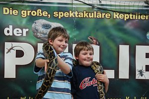 Welt der Reptilien in der Wiedingsburghalle