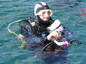 Trauung unter Wasser