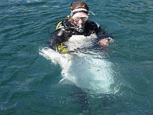 Trauung unter Wasser
