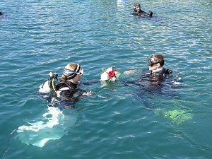 Trauung unter Wasser