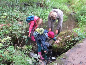 Wissenswertes rund ums Wasser erfuhren die Grundschüler Niedersachswerfens am Mühlberg