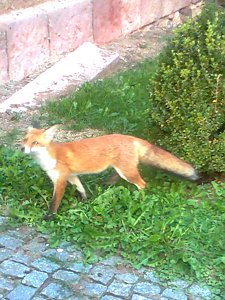 Zu Gast in Werna