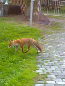 Zu Gast in Werna