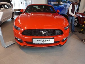 Der Mustang in Nordhausen